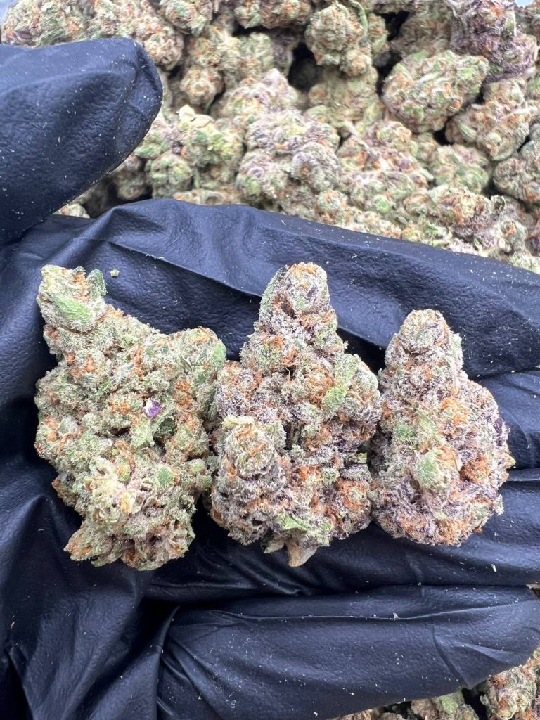 The Menage Meds