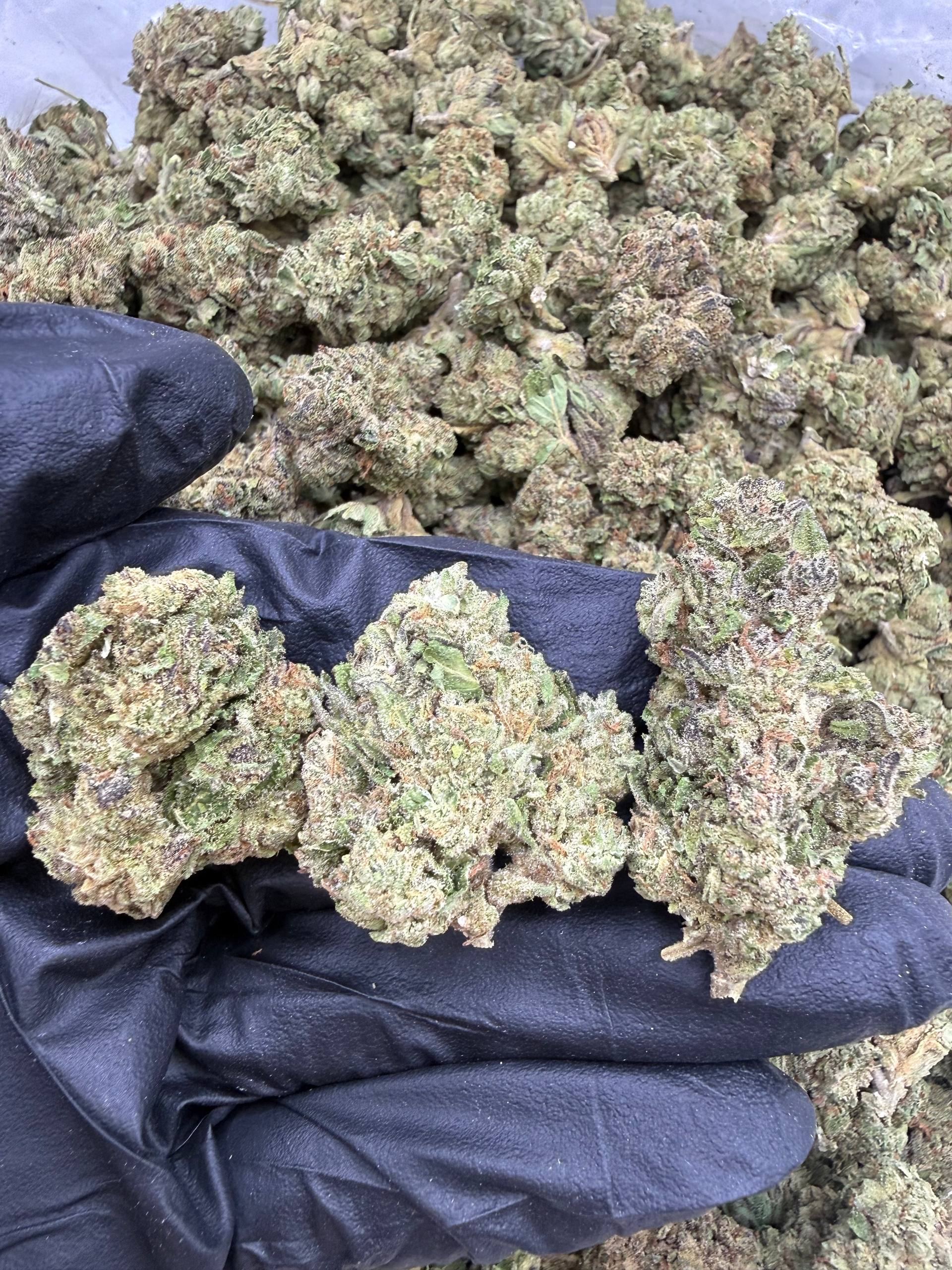 Gelatti Mints