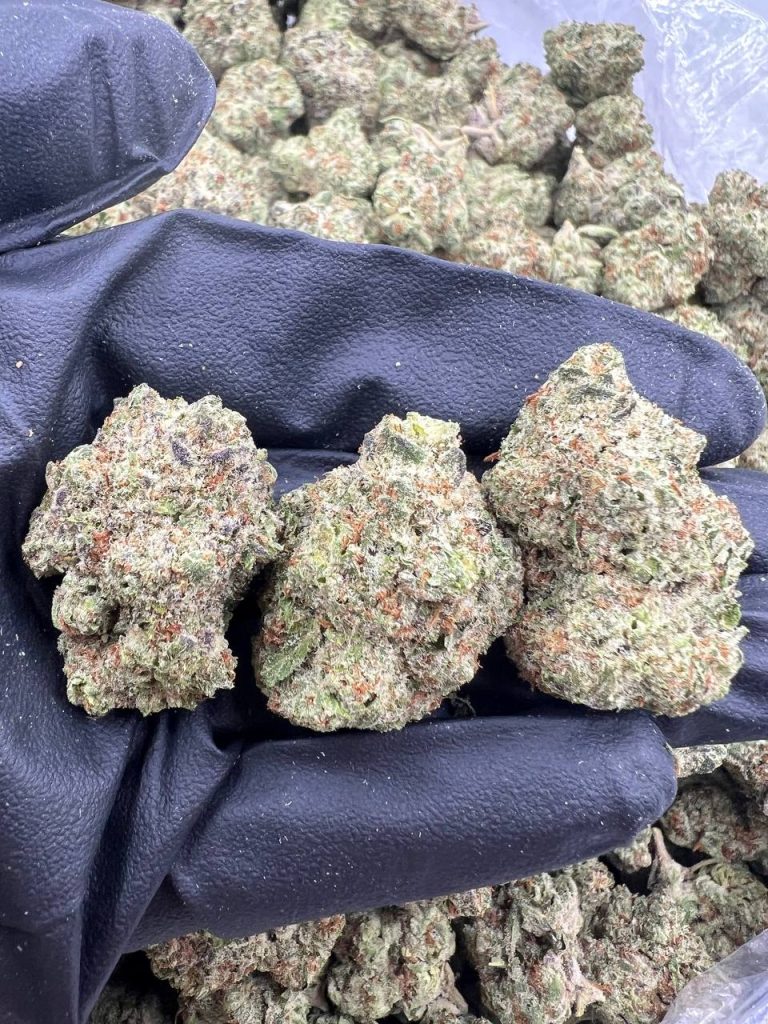 Arctic Truffle