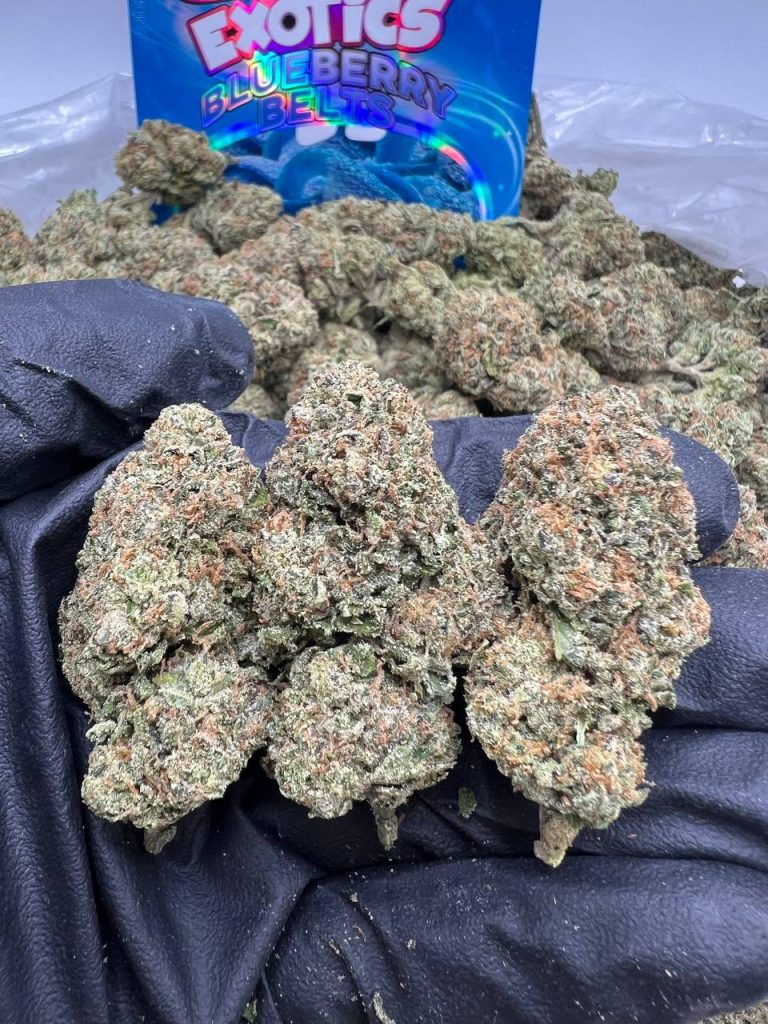 Blueberry Sour Beltz TERP'D