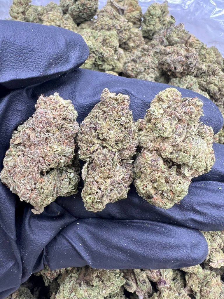 DoSiDos