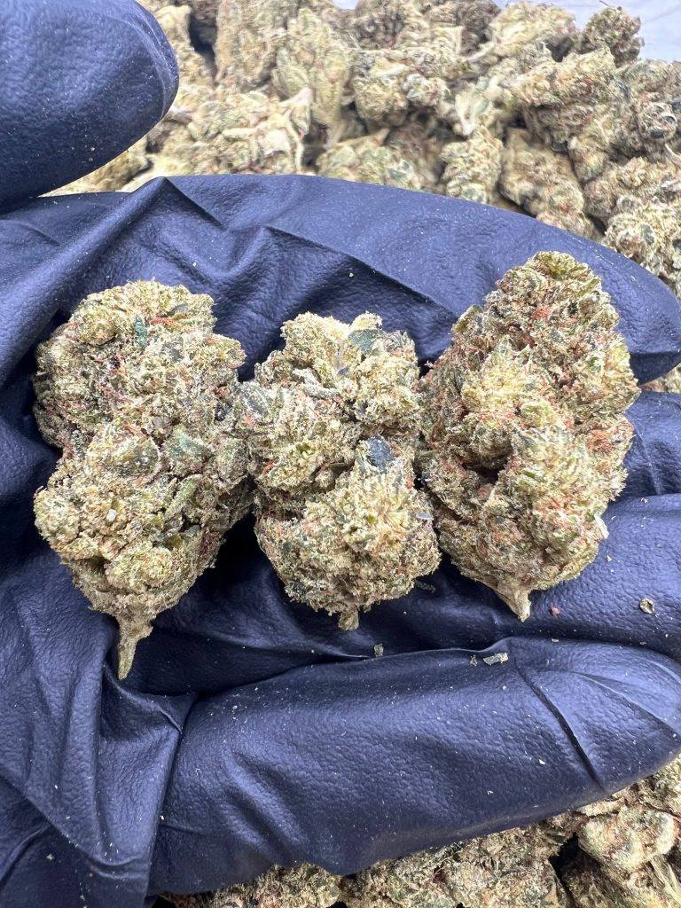 Gorilla Glue