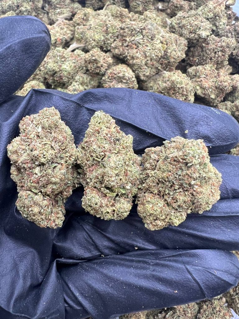 Lemon Kush