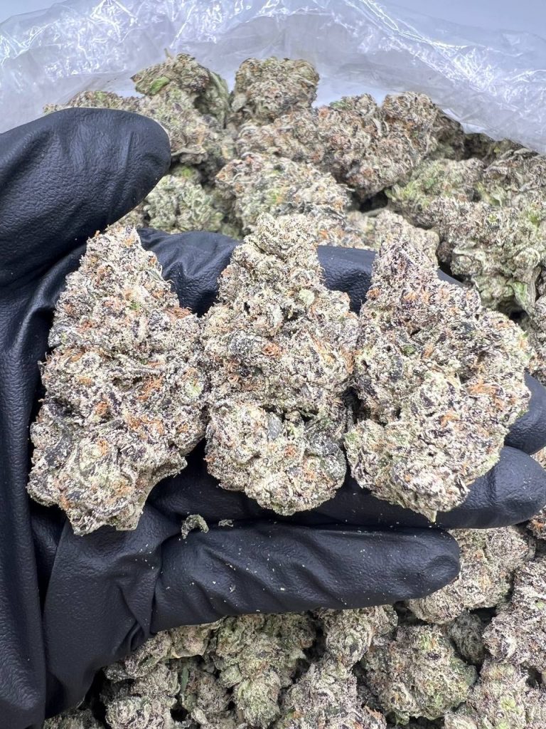 Sherbanger By Atlas Seed Co
