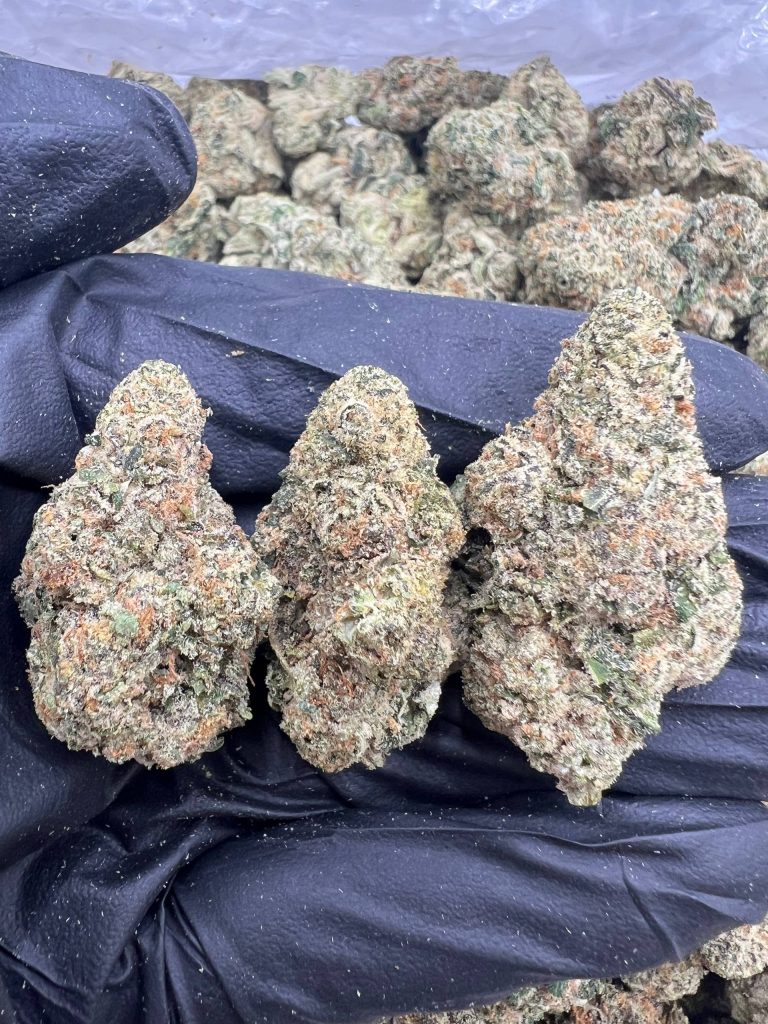 Sour Gelato