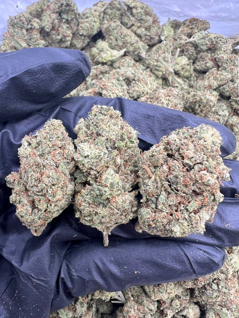 Sour Patch