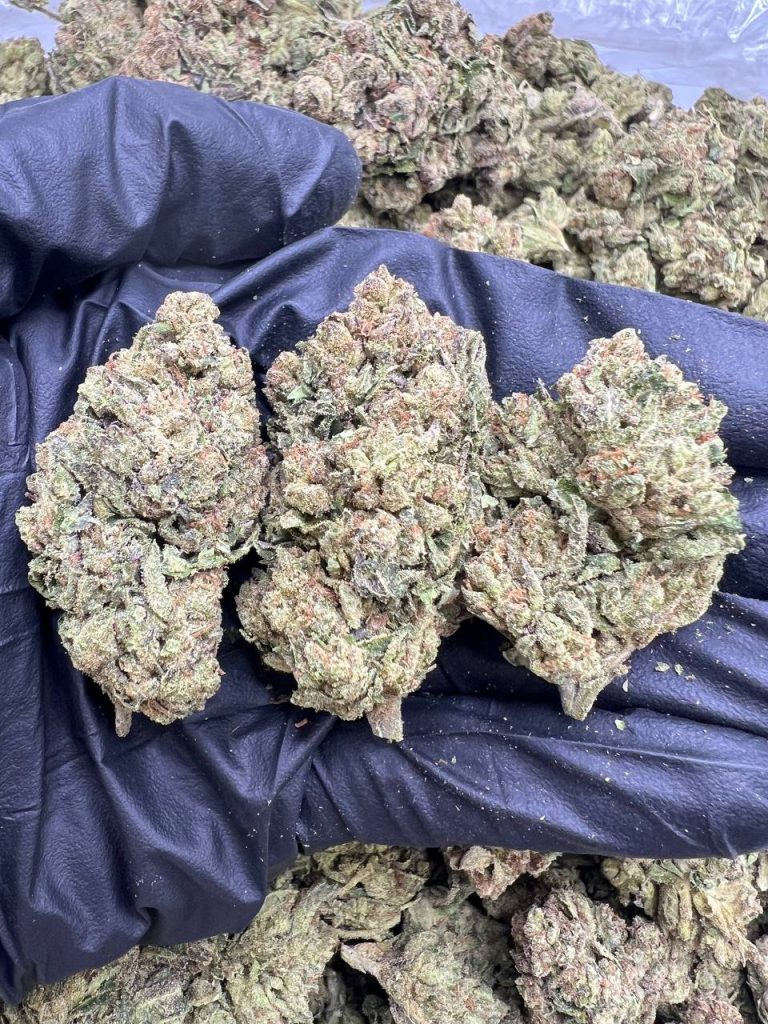 White Gumnny