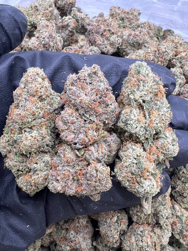 Candy Runtz