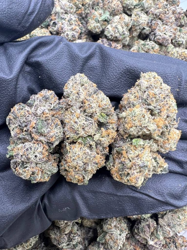 CandyLand