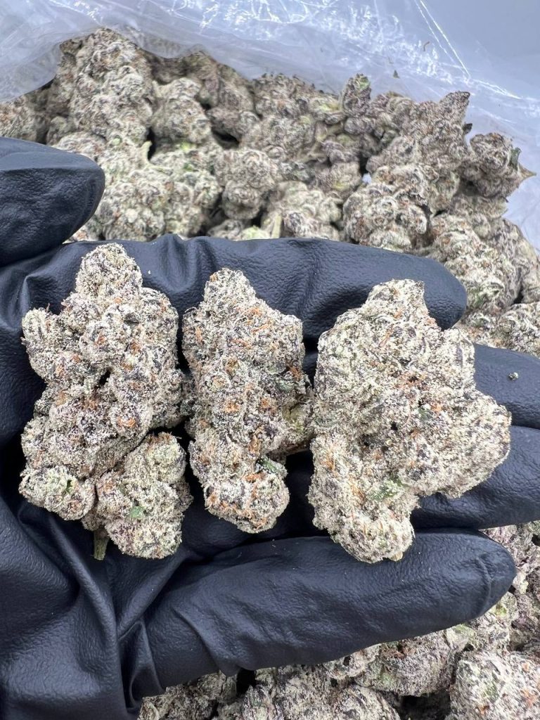 Code Black By Atlas Seed Co.