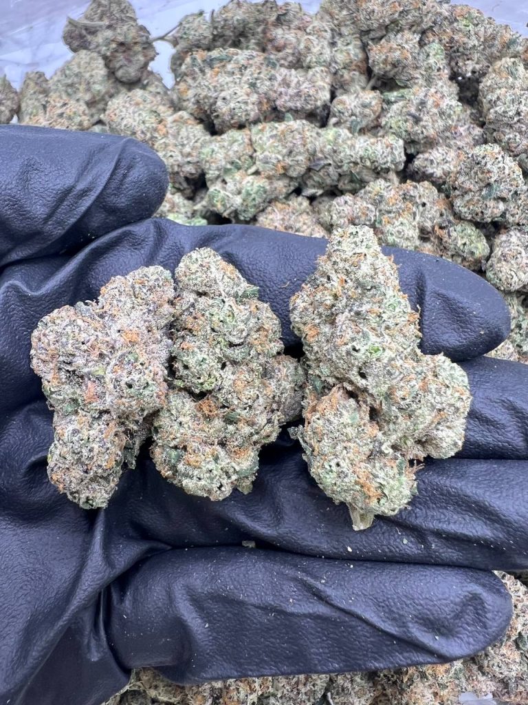 Electric Lemonade