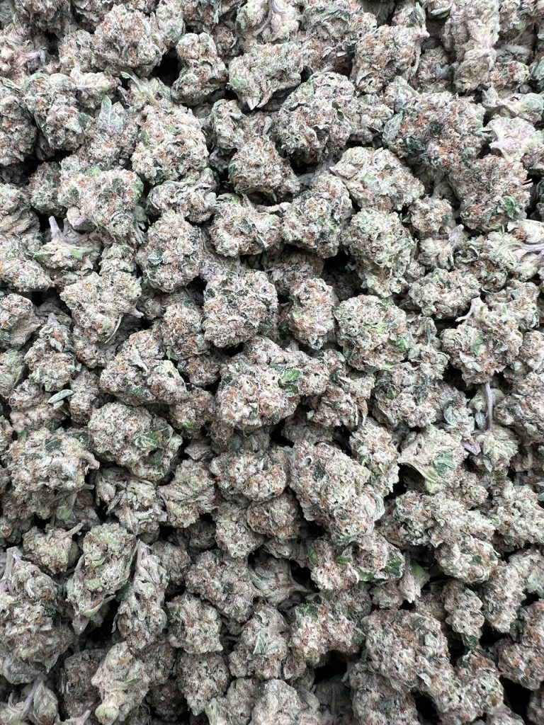 Gas Mask Smalls