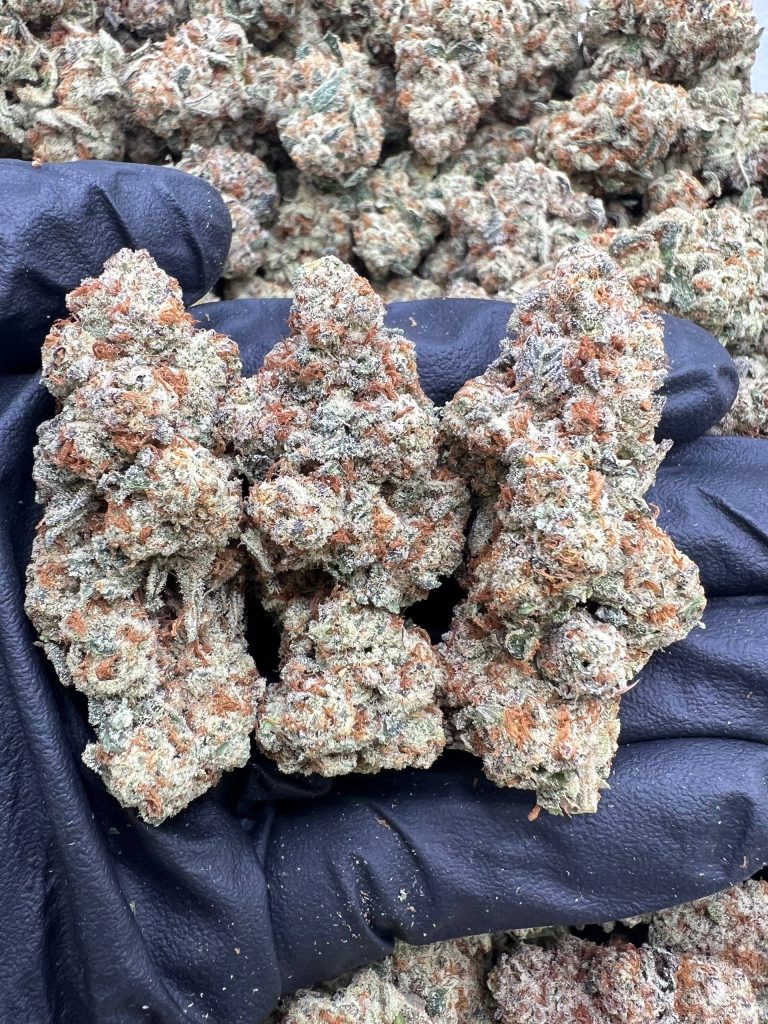 Glitterbomb x Runtz