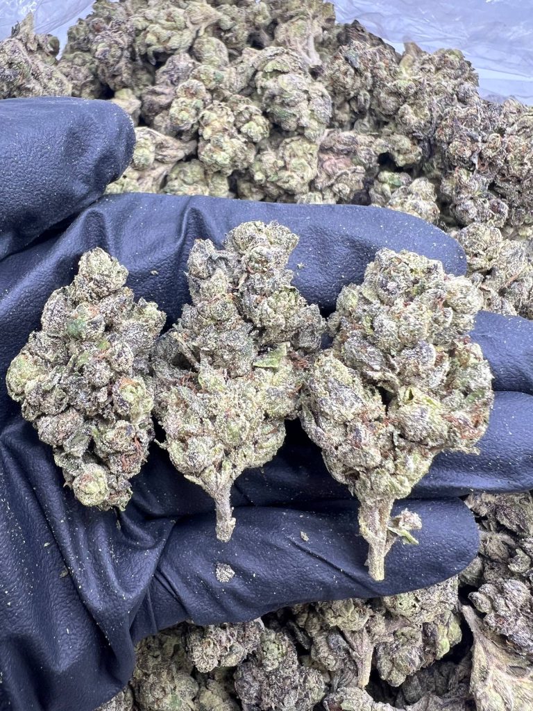 Grape Runtz