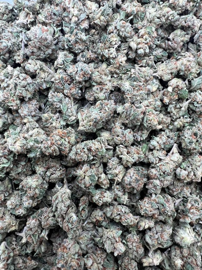 Green Lantern Smalls