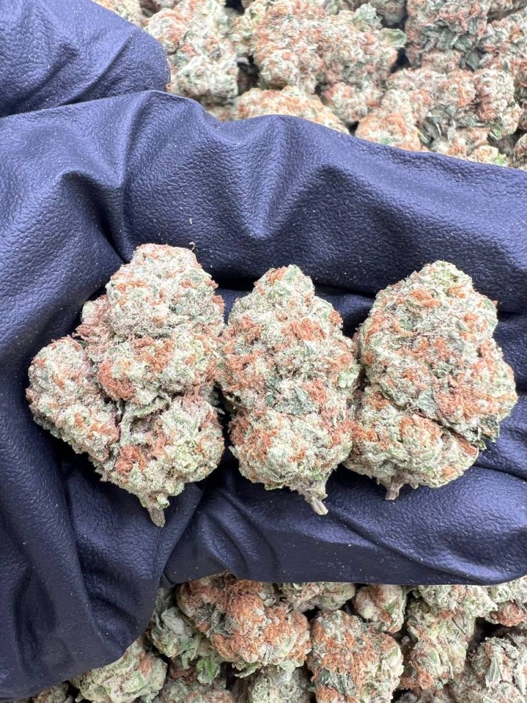 Guava Punch