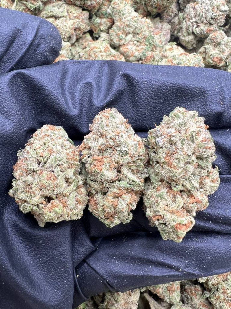 Hawaiian Punch