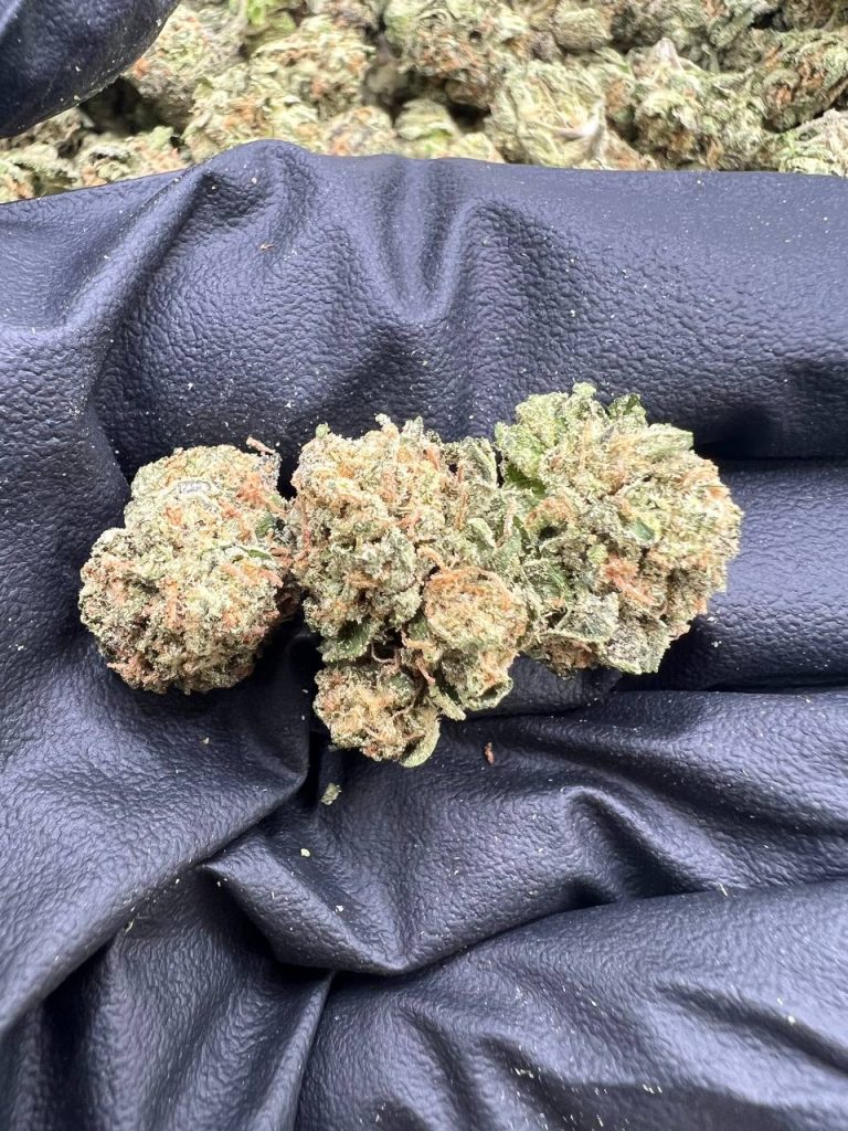 Pink Runtz Meds