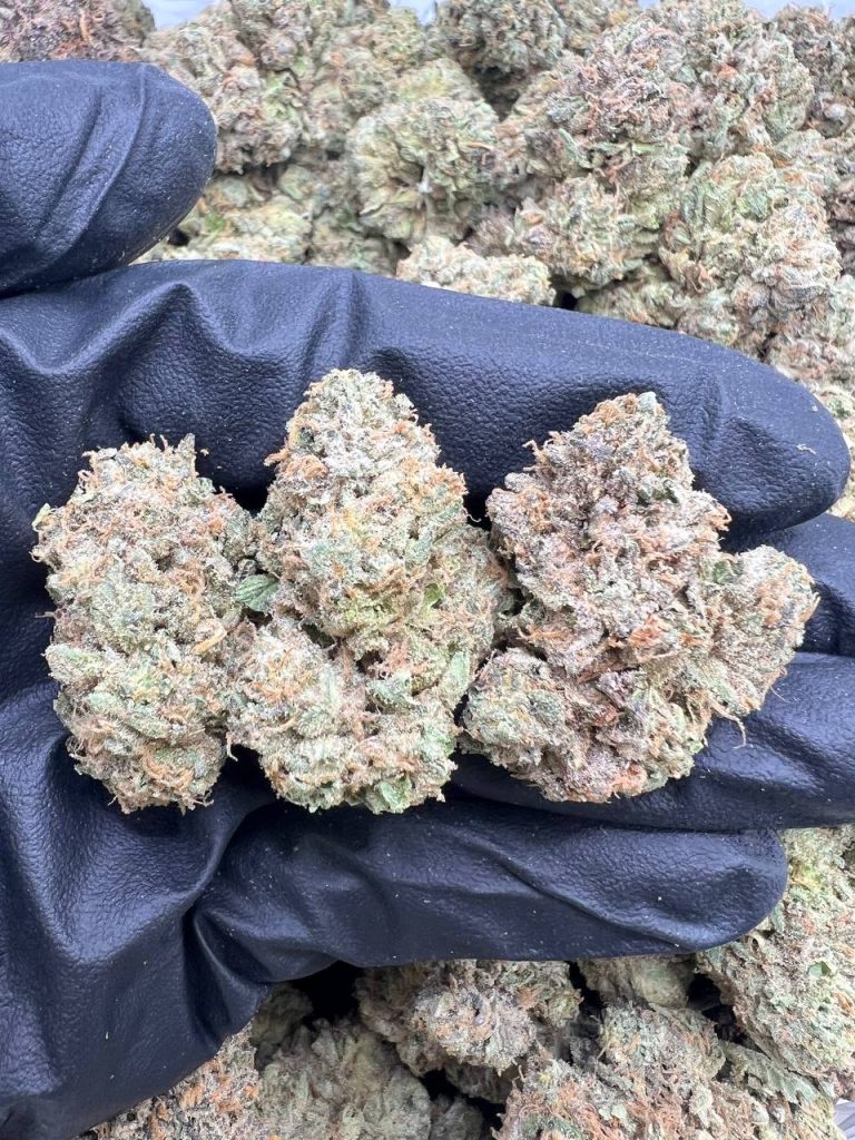 Rainbow Zkittles