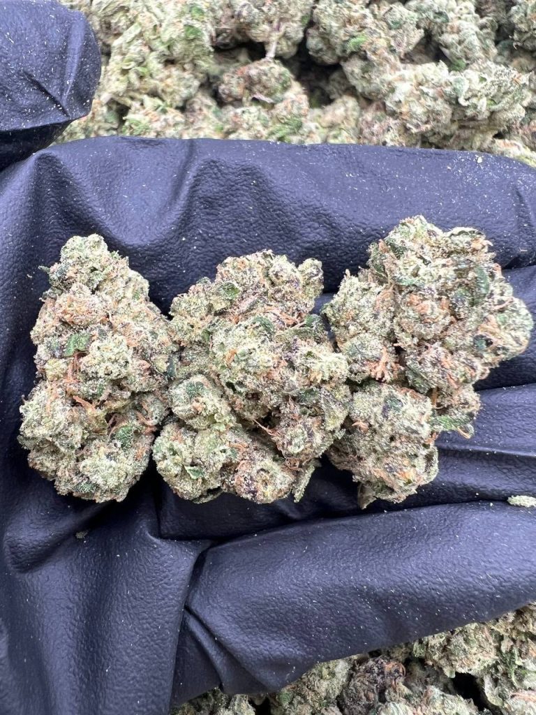 Zours by Atlas seed co