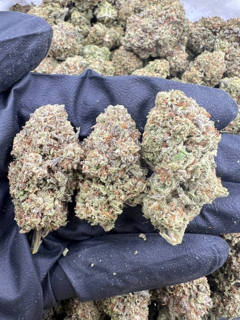 Rocket Cream
