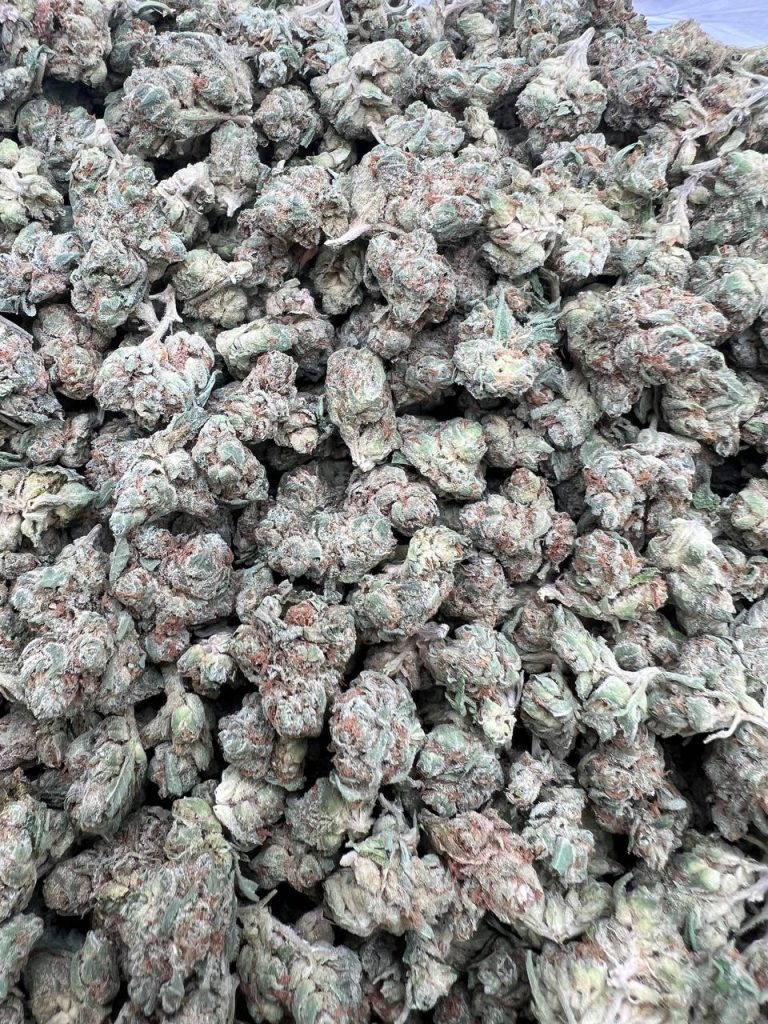 Skunk Kush Smalls
