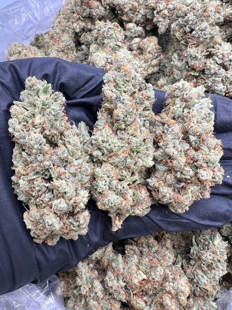 Super Lemon Haze